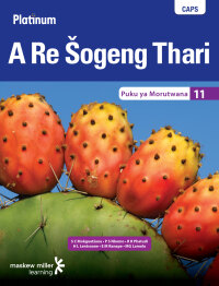 Cover image: Platinum A Re Šogeng Thari (Sepedi HL) Grade 11 Learner's Book 1st edition 9780636091177