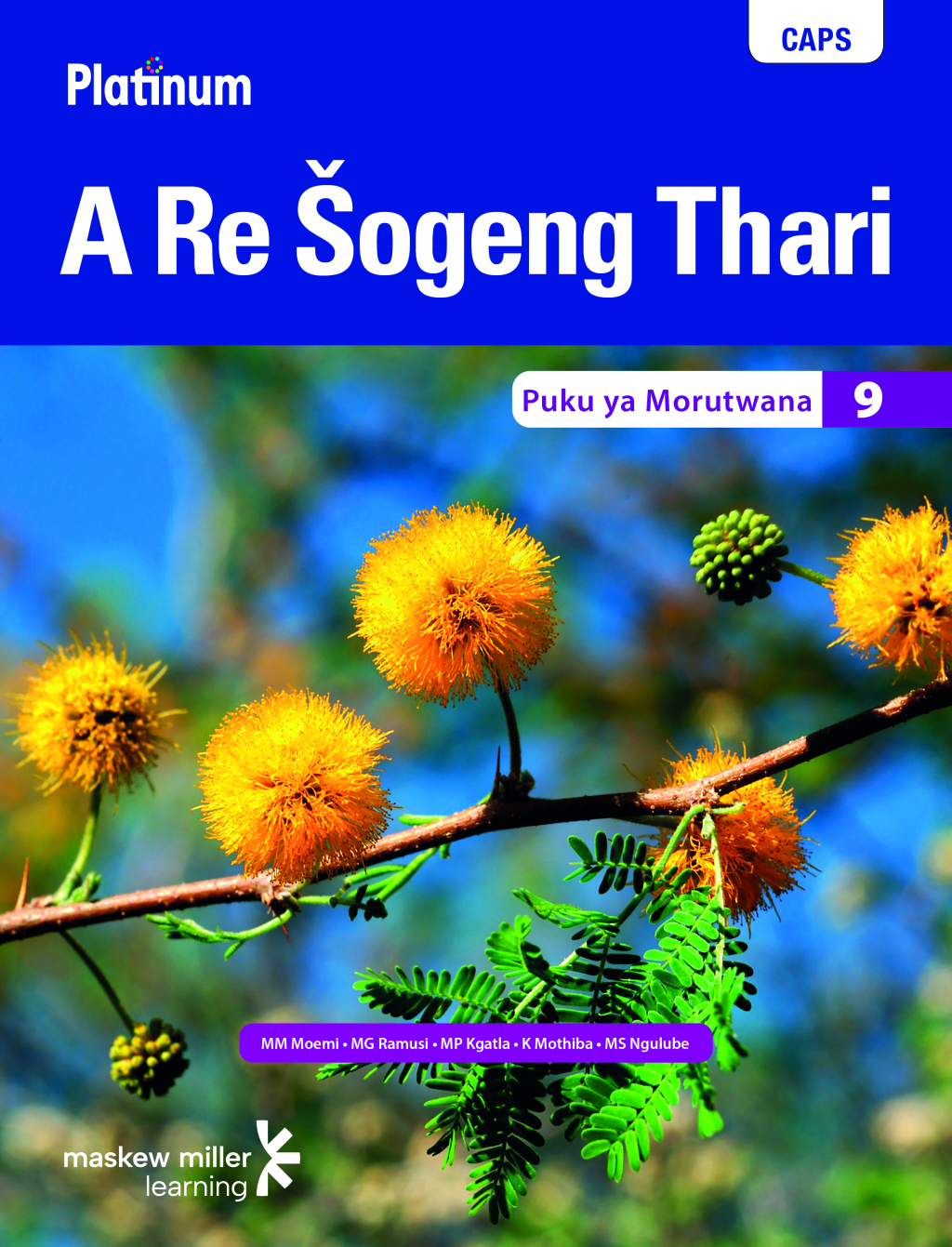 ISBN 9780636140295