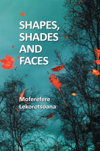 Cover image: Shapes, Shades and Faces 9780639918716