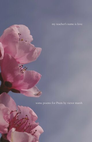 Cover image: My Teacher's Name is Love 9780645353181