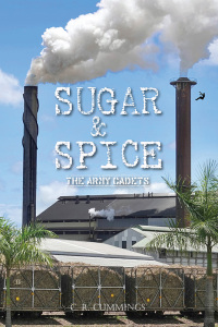 Omslagafbeelding: Sugar & Spice 1st edition 9780645466560