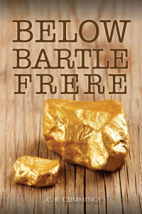 صورة الغلاف: Below Bartle Frere 3rd edition 9780645638424