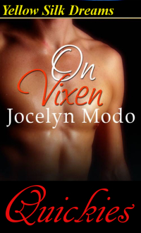 Cover image: On Vixen 1st edition