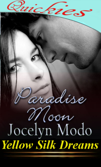 Cover image: Paradise Moon 1st edition