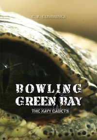 Cover image: Bowling Green Bay 1st edition