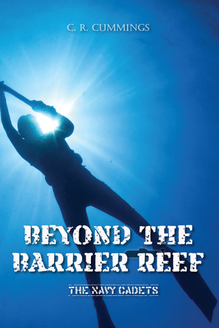 Titelbild: Beyond the Barrier Reef 1st edition