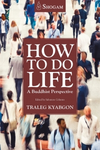 Cover image: How To Do Life 9780648129318