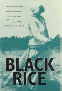 Cover image: Black Rice 1st edition 9780674004528