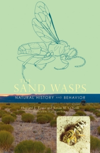Cover image: The Sand Wasps 9780674024625