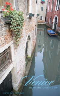 صورة الغلاف: Venice from the Ground Up 9780674027527