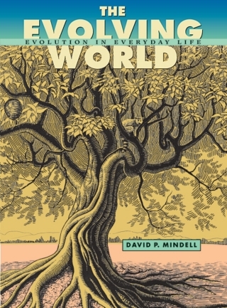 Imagen de portada: The Evolving World 9780674021914