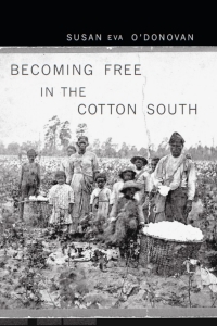 Imagen de portada: Becoming Free in the Cotton South 9780674024830