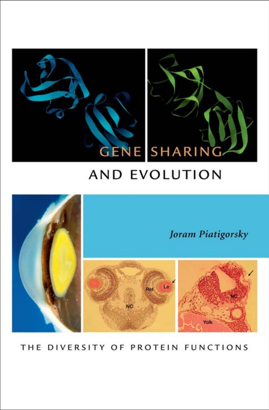 Gene Sharing and Evolution The Diversity of Protein Functions