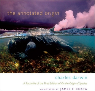 Omslagafbeelding: The Annotated Origin 9780674032811