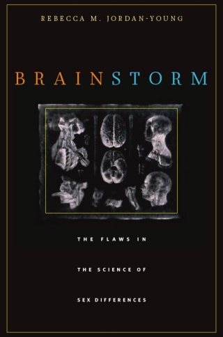 Cover image: Brain Storm 9780674063518