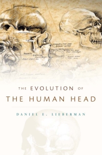Cover image: The Evolution of the Human Head 9780674046368