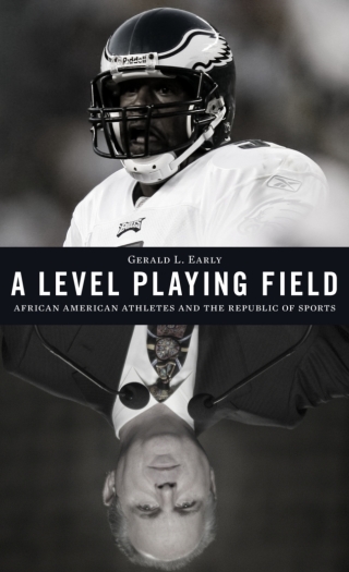 Cover image: A Level Playing Field 9780674050983