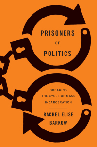 Imagen de portada: Prisoners of Politics 9780674248328