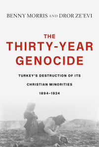 Omslagafbeelding: The Thirty-Year Genocide 9780674251434