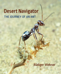 Cover image: Desert Navigator 9780674045880