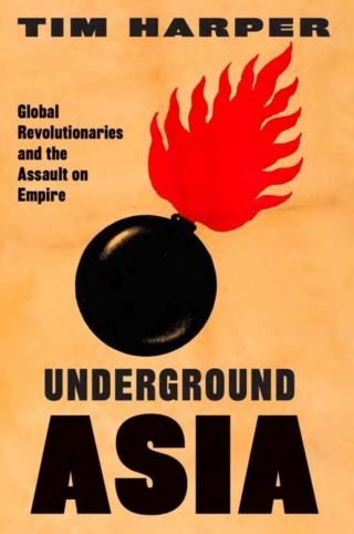 Cover image: Underground Asia 9780674724617
