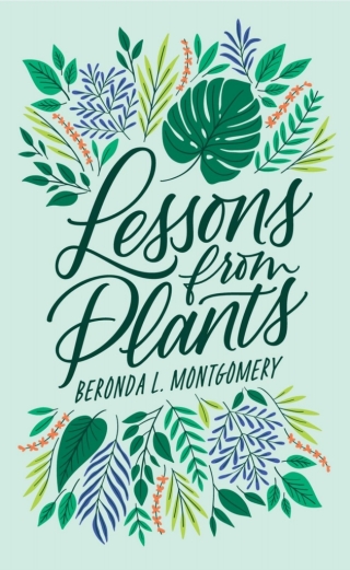 Titelbild: Lessons from Plants 9780674241282