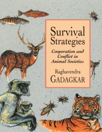 Imagen de portada: Survival Strategies 9780674005570