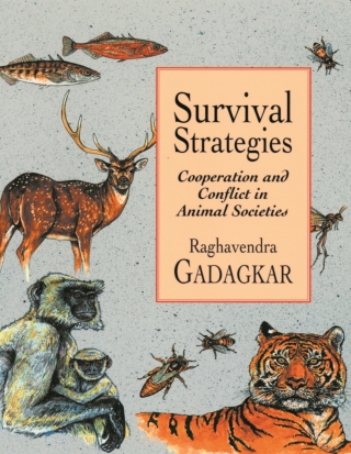 Cover image: Survival Strategies 9780674005570