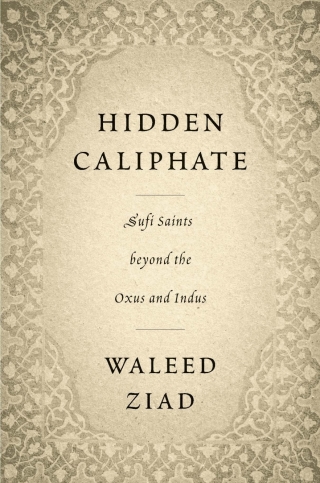 Imagen de portada: Hidden Caliphate 9780674248816