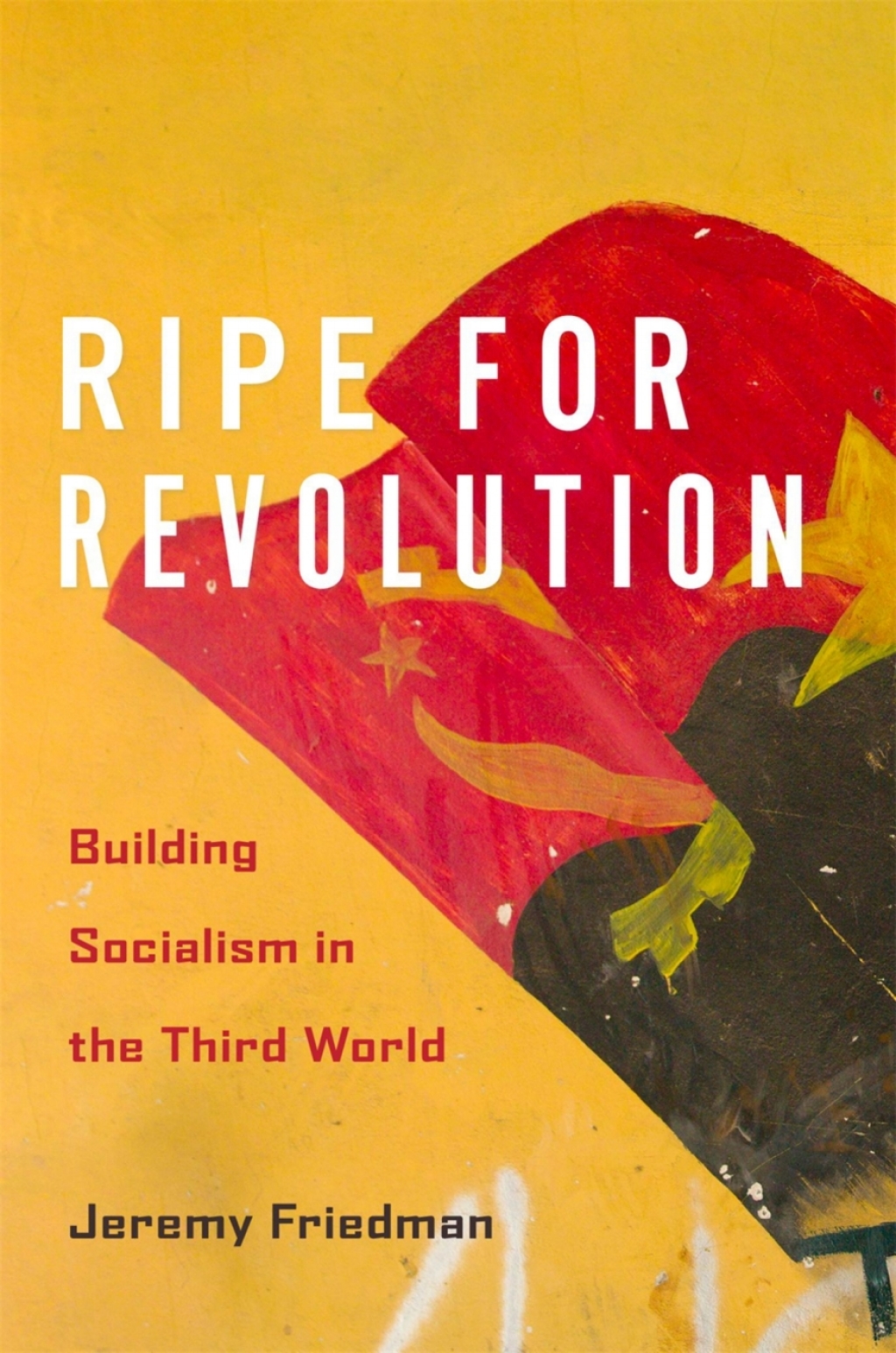 Ripe for Revolution Building Socialism in the Third World