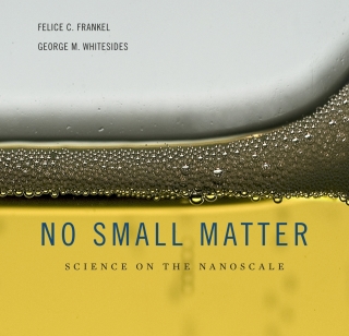 Imagen de portada: No Small Matter 9780674035669