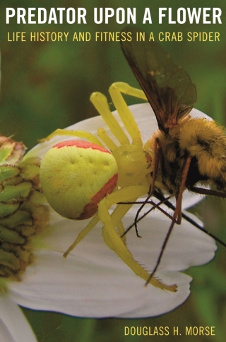 Cover image: Predator upon a Flower 9780674024809