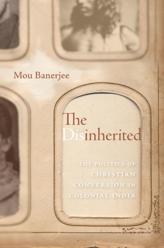 Cover image: The Disinherited 9780674268036