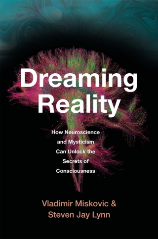 Cover image: Dreaming Reality 9780674271869