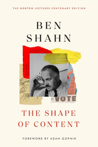 Imagen de portada: The Shape of Content 9780674302426