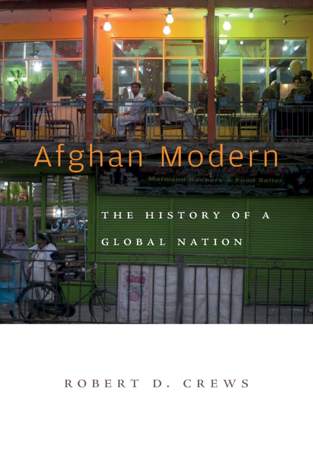 Afghan Modern The History of a Global Nation