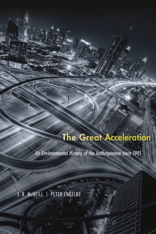 صورة الغلاف: The Great Acceleration 9780674545038