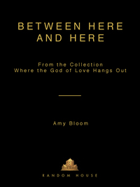 Cover image: Between Here and Here (short story) 9781400063574