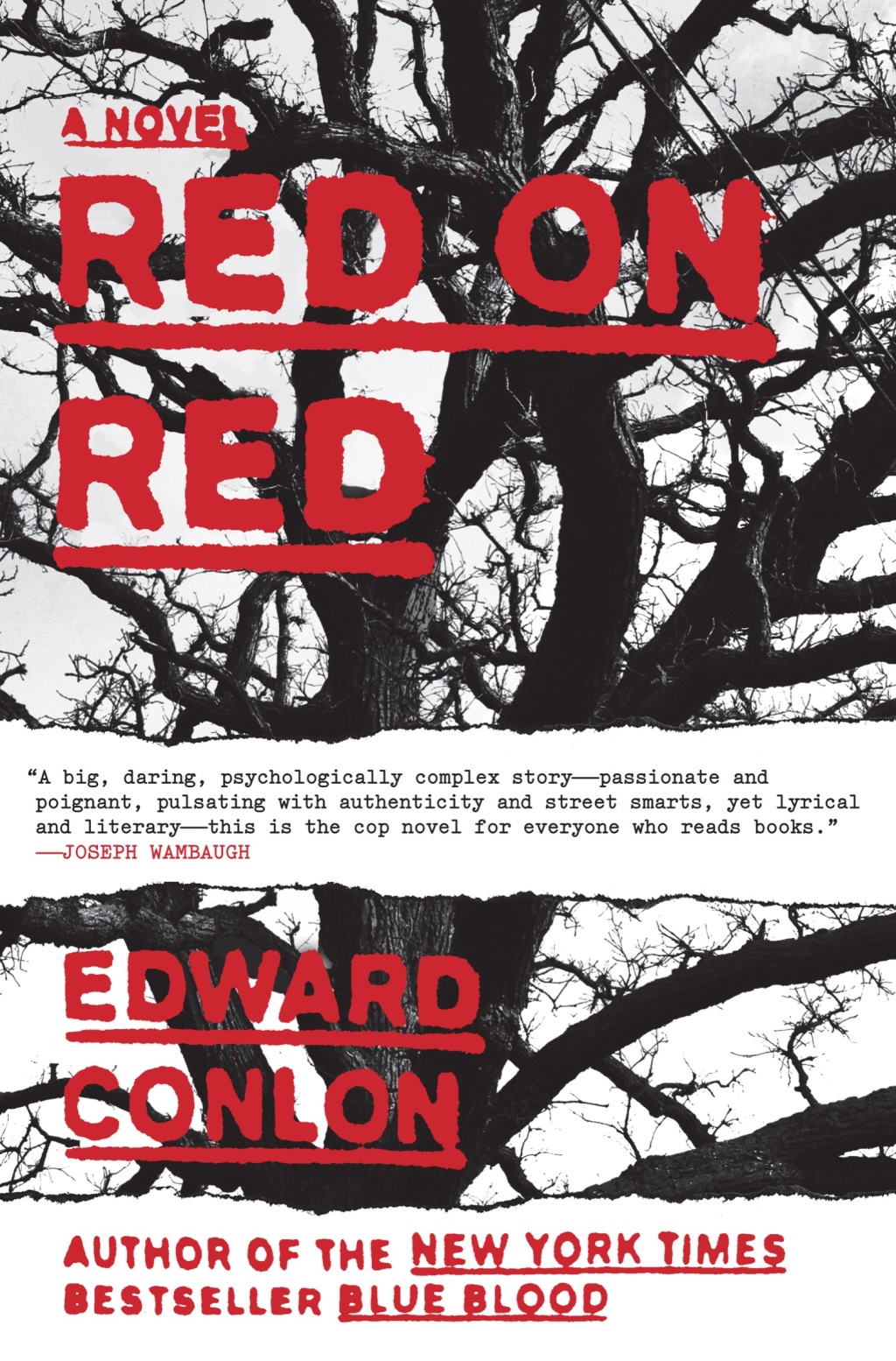 Red on Red eBook