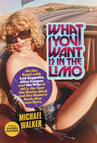 Cover image: What You Want Is in the Limo 9780812992885