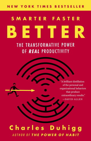 Cover image: Smarter Faster Better 9780812983593