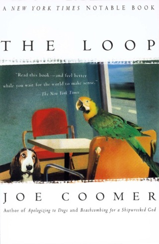 Cover image: The Loop 9780684859040
