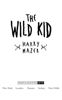 Cover image: The Wild Kid 9780689822896