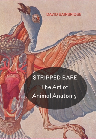 Cover image: Stripped Bare 9780691181424