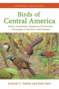 صورة الغلاف: Birds of Central America 9780691138022