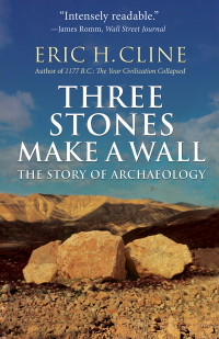 Cover image: Three Stones Make a Wall 9780691183237