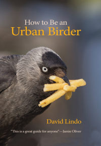 表紙画像: How to Be an Urban Birder 9780691179629