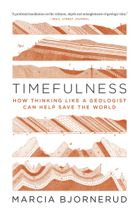 表紙画像: Timefulness: How Thinking Like a Geologist Can Help Save the World 9780691202631