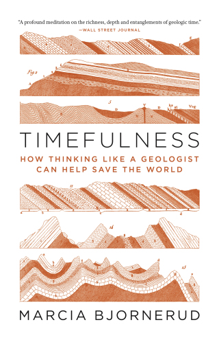 صورة الغلاف: Timefulness: How Thinking Like a Geologist Can Help Save the World 9780691202631