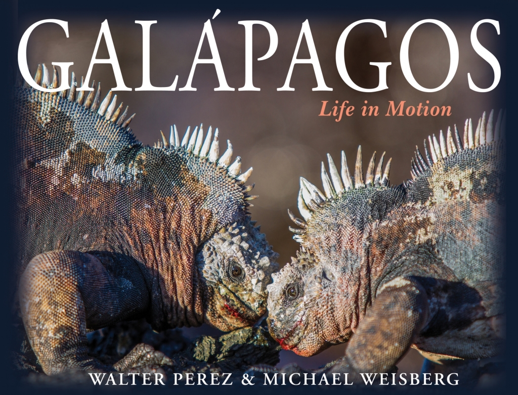 Galápagos Life in Motion